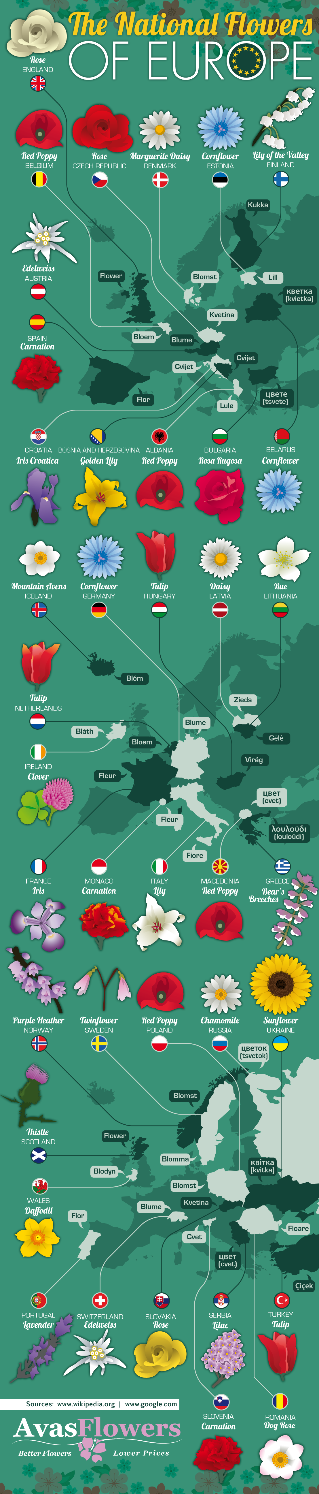 The National Flowers of Europe - Avasflowers.net - Infographic