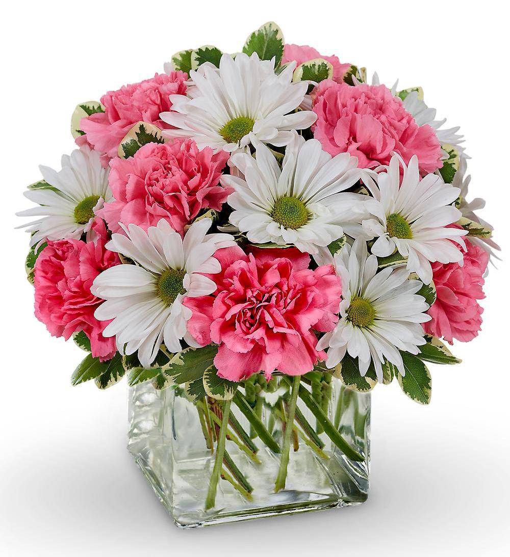 avasflowers-daisy-dreams-bouquet_max.jpg