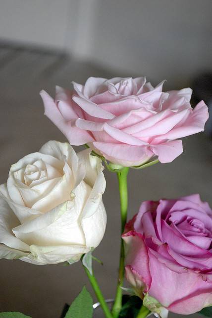 Keep Your Party Flowers Longer Using These Tips