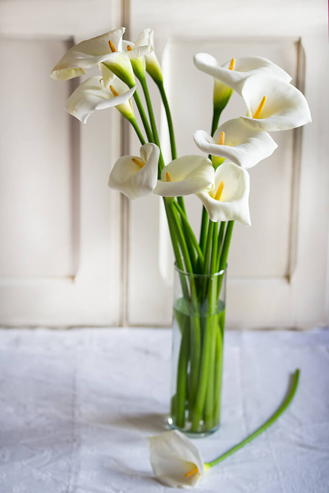 Calla lillies