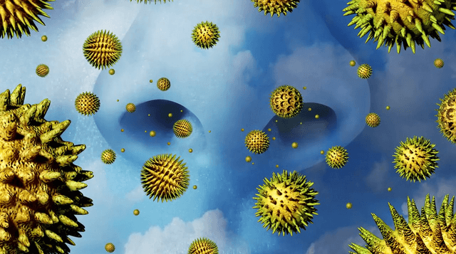 9 Natural Remedies To Help You Survive Pollen Season