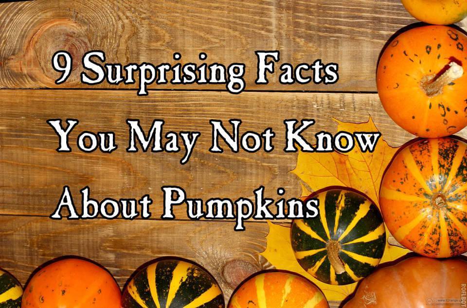 facts about pumpkins