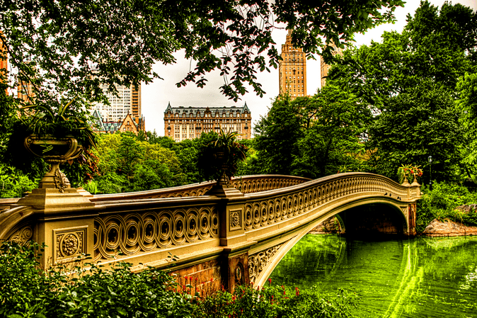 A Walk In New York City’s Best Parks