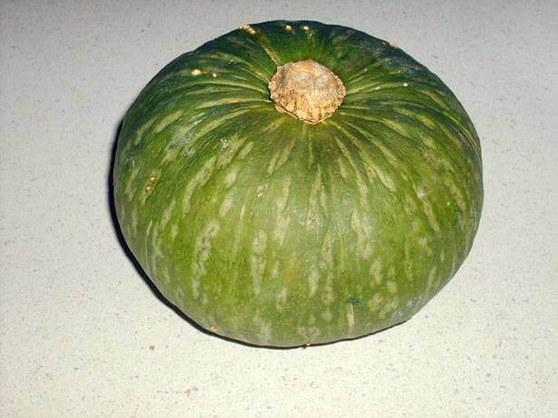 Kabocha Squash