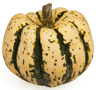 Sweet Dumpling Squash