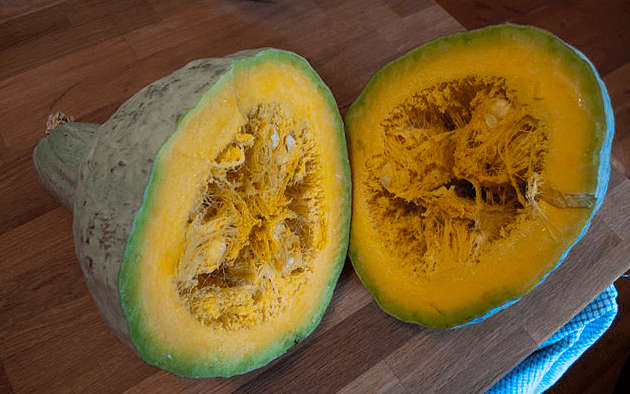 Hubbard Squash