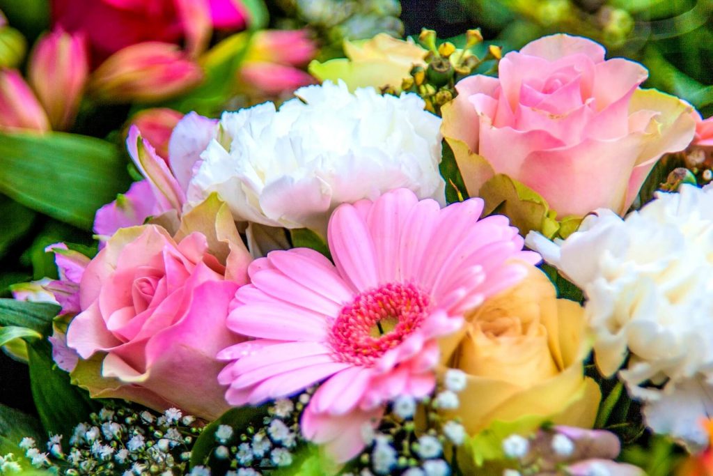 Pastel colored flowers