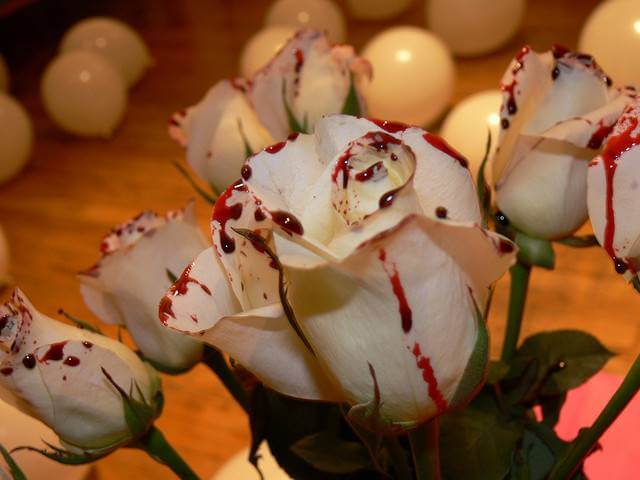 Bloody White Roses