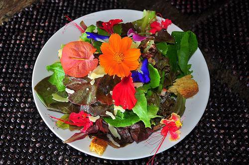 Colorful Flower Salad