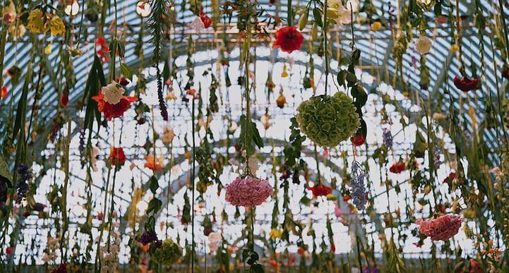 Hanging flowers