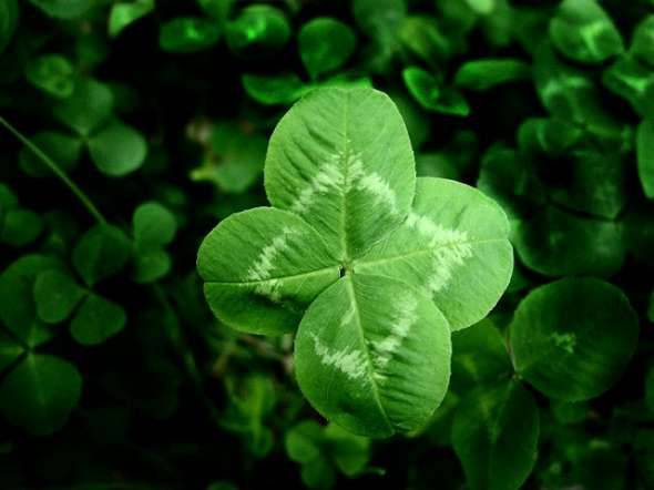 Diamond Four Leaf Clover
