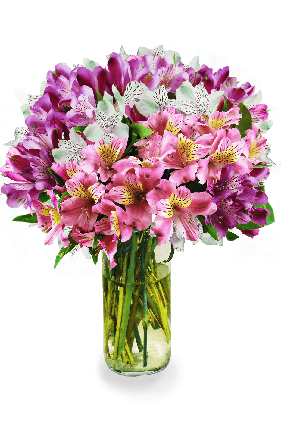 Avas Flowers Coupon Code