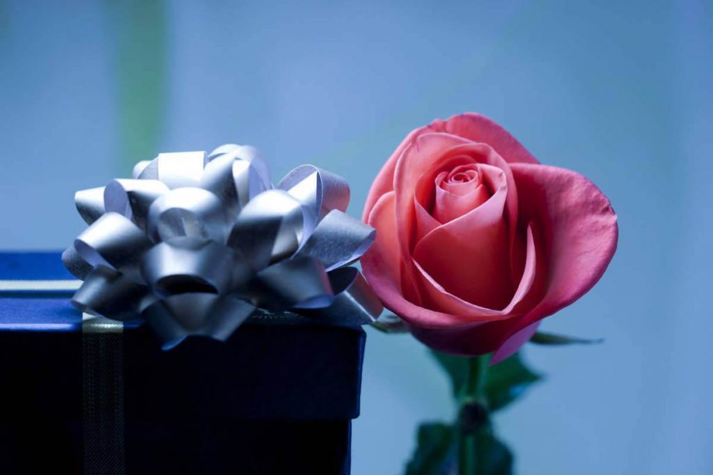 Rose Gift