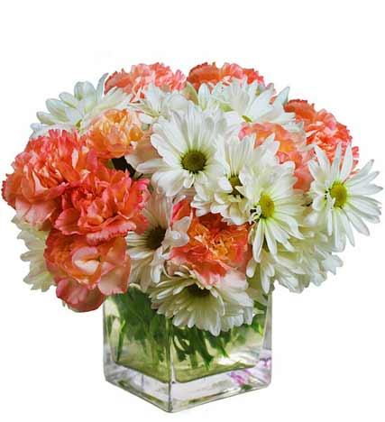 Graduation Flowers to Celebrate Your Student’s Success and Bright Future