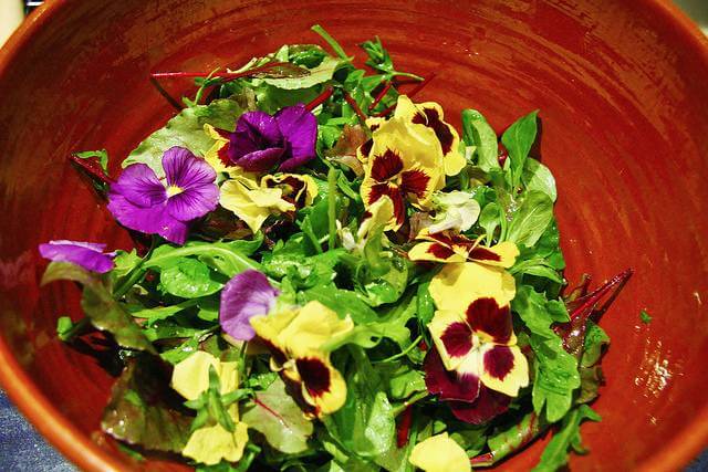 Flower Salad
