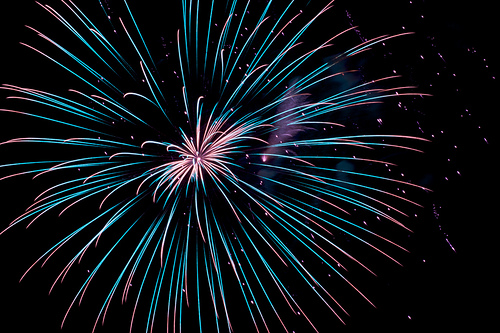 Fireworks and Flowers: Happy Independence Day!