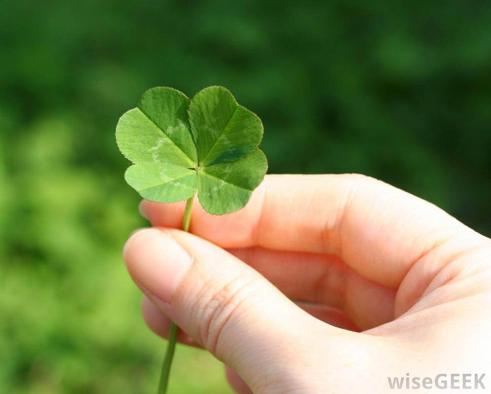 Four Leaf Clover