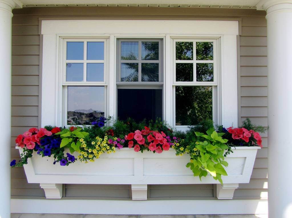 Window box with flowers