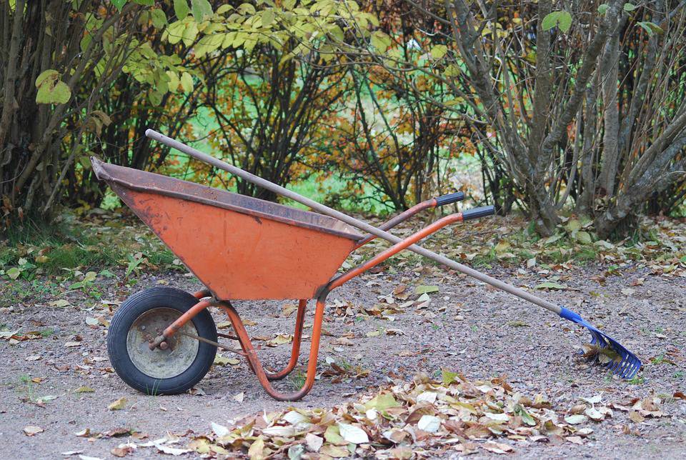 How To Prepare Your Garden For Winter