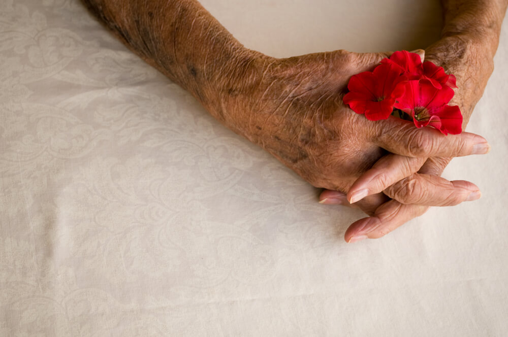 Elder hands holding a flower