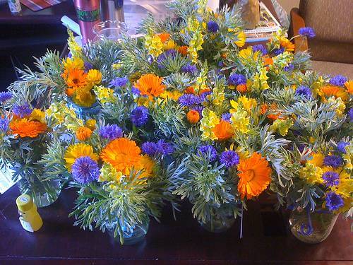 The Month of the Marigold: The October Birth Flower