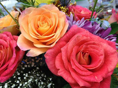 Pink & Orange Roses
