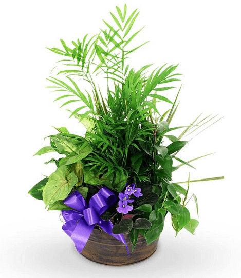 Basket arrangement