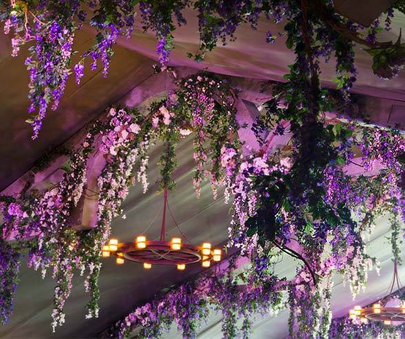 Purple Hanging Flowers