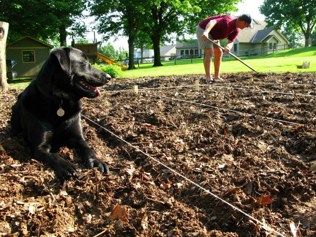 Gardening