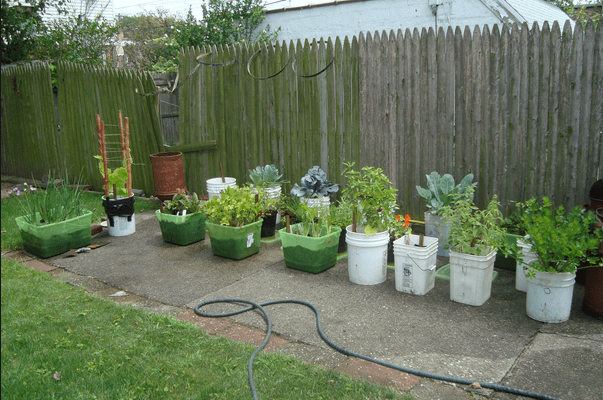garden container