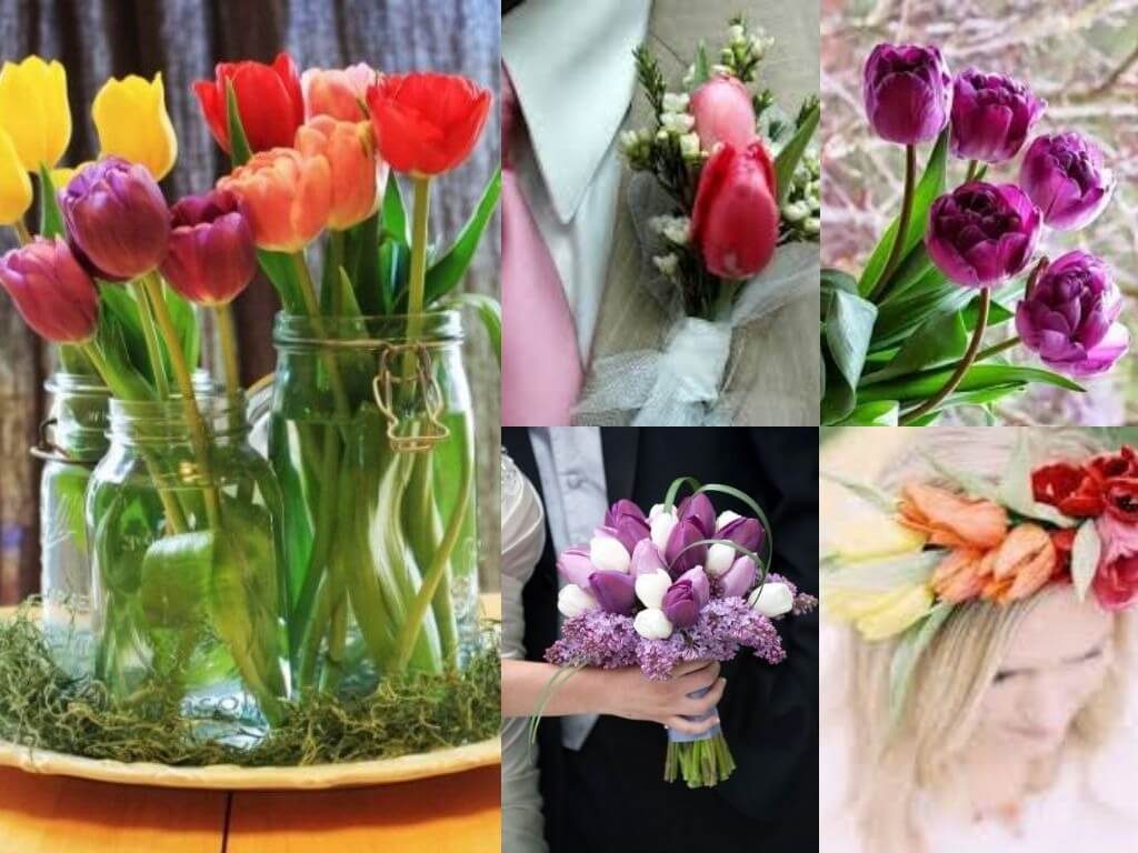 Tulip decoration