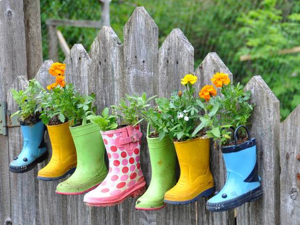 container garden