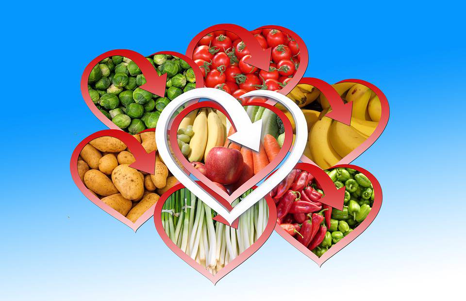 The Beneficial Effects Of Fruits And Vegetables On The Human Body