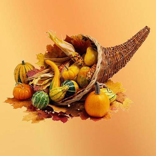 The History Behind The Thanksgiving Cornucopia