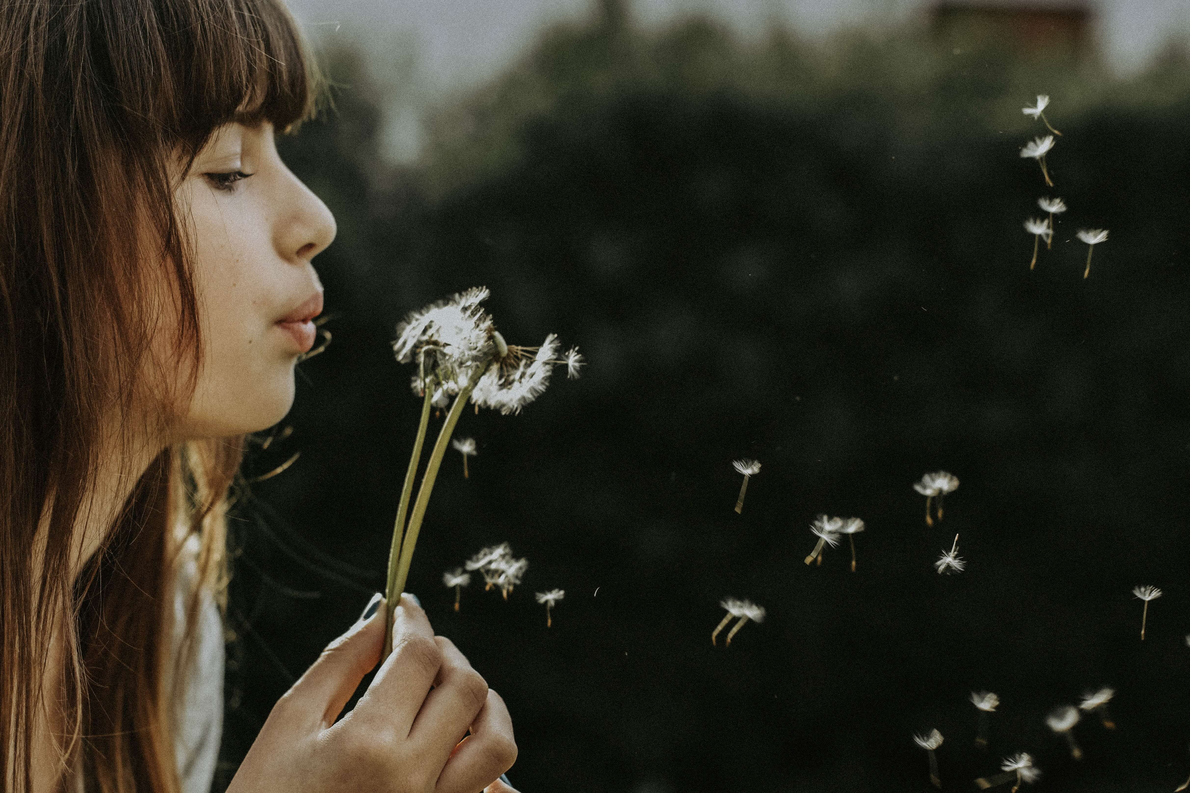 The Psychology of Flowers and our Happiness