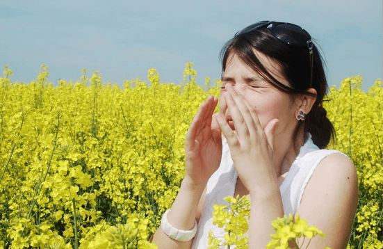 These Allergy-Friendly Flowers Are Nothing To Sneeze At