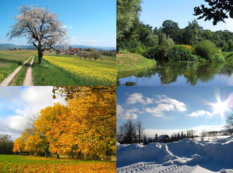 Four seasons