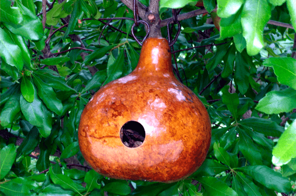 Gourd 2