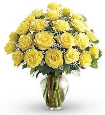 Yellow Roses