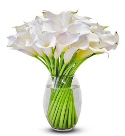 Calla Lilly Flower Bouquet