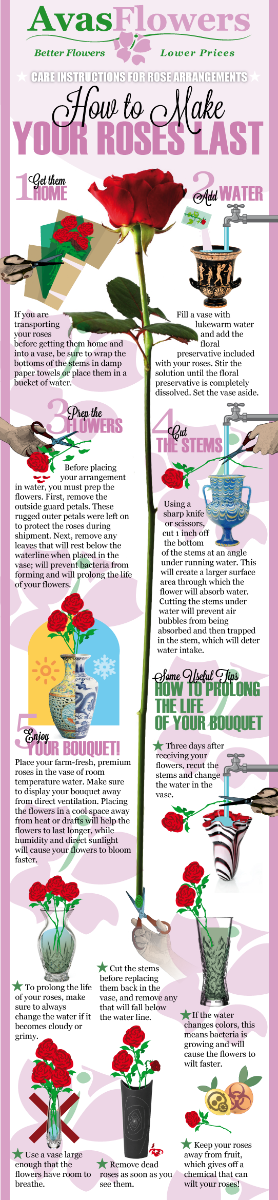 Infographic - How To Make Your Roses Last