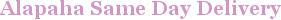 City - Alapaha