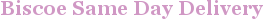 City - Biscoe