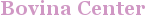 City - Bovina Center