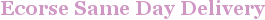 City - Ecorse