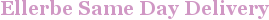 City - Ellerbe