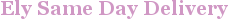 City - Ely
