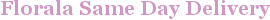 City - Florala