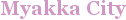 City - Myakka City