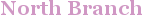City - North Branch